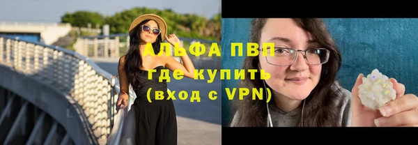 спайс Вяземский