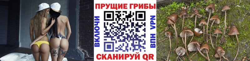 Псилоцибиновые грибы Magic Shrooms  Купить закладки  Киржач 